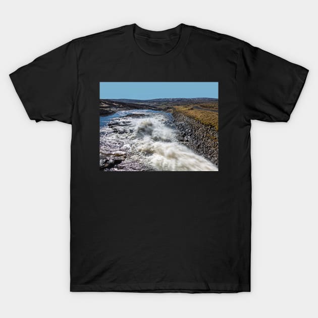 Cow Green Reservoir T-Shirt by Reg-K-Atkinson